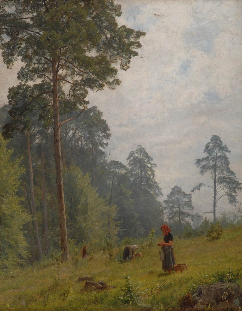 Heidelbeer-Sammler